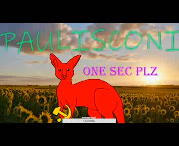 Screenshot showing hammer and sickle logo at start of Paul Mulholland’s livestream